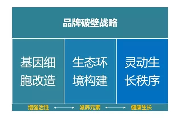 品牌升級必看的四大策略！