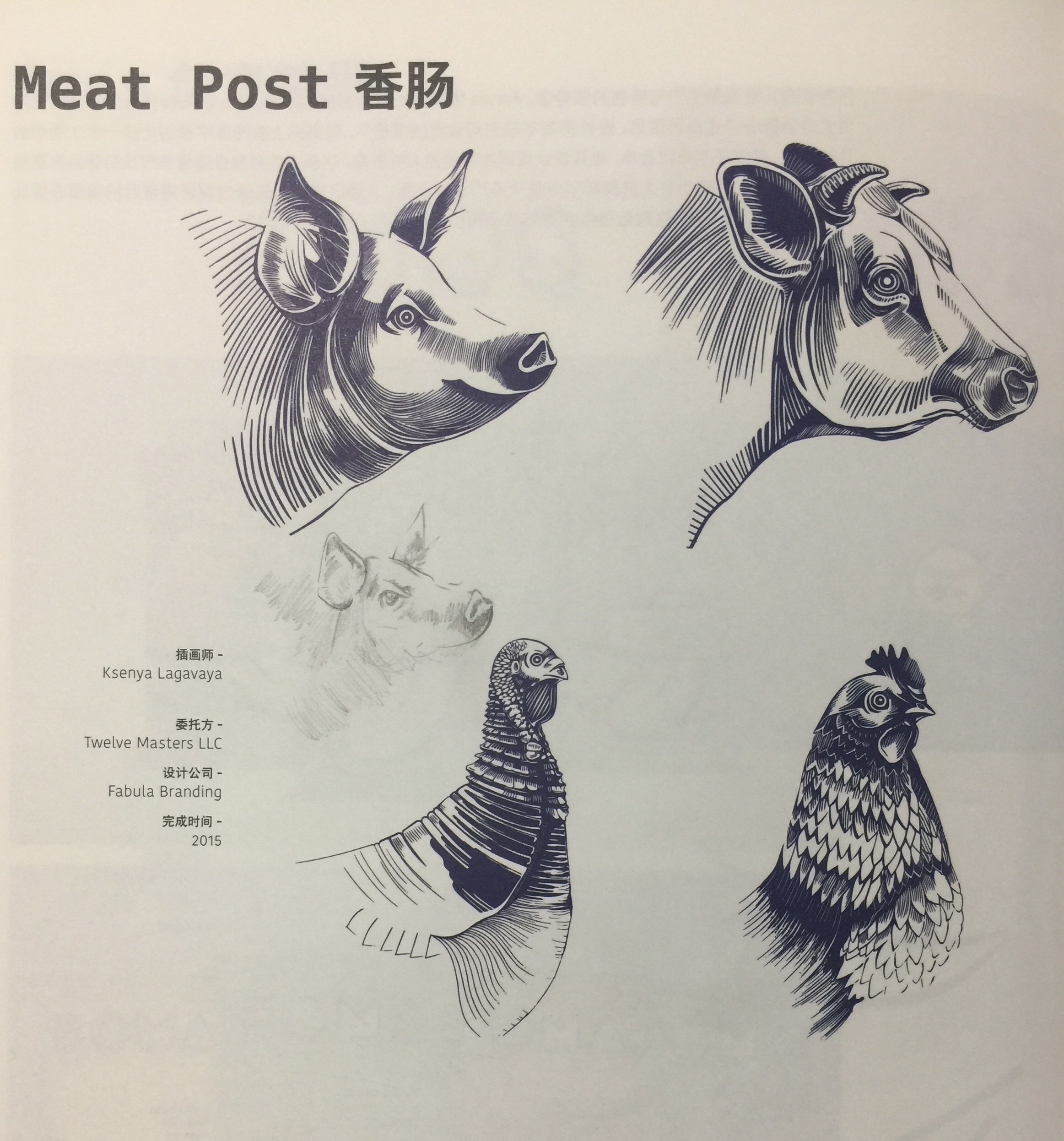 豬肉、小牛肉、雞肉和火雞肉香腸包裝設(shè)計(jì)