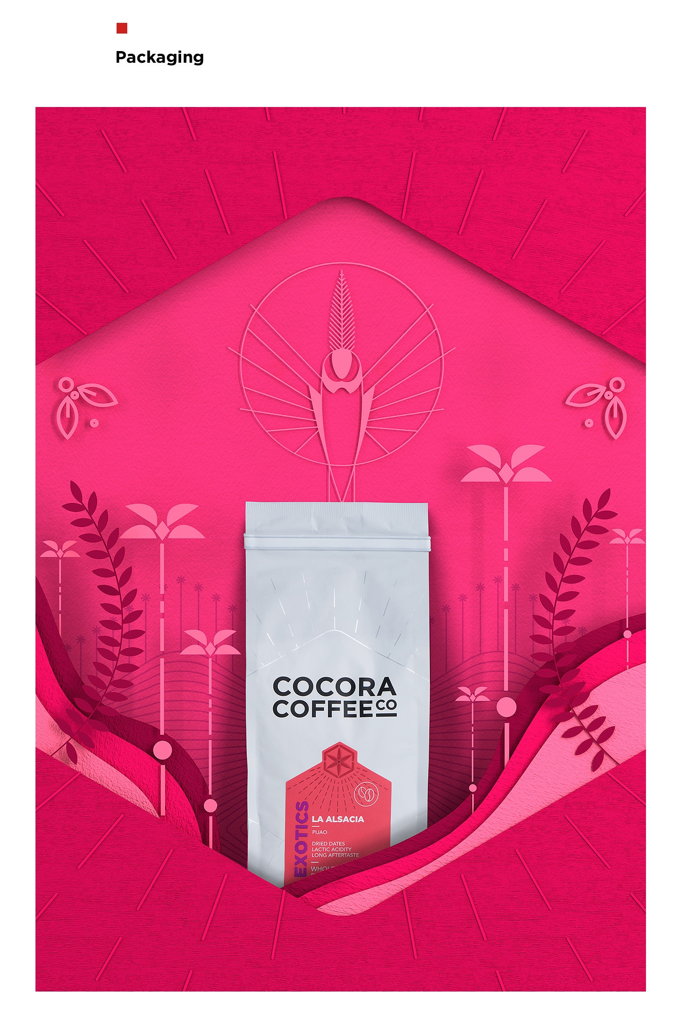 為一個咖啡杯，一個街角咖啡店，做整體的品牌包裝設(shè)計