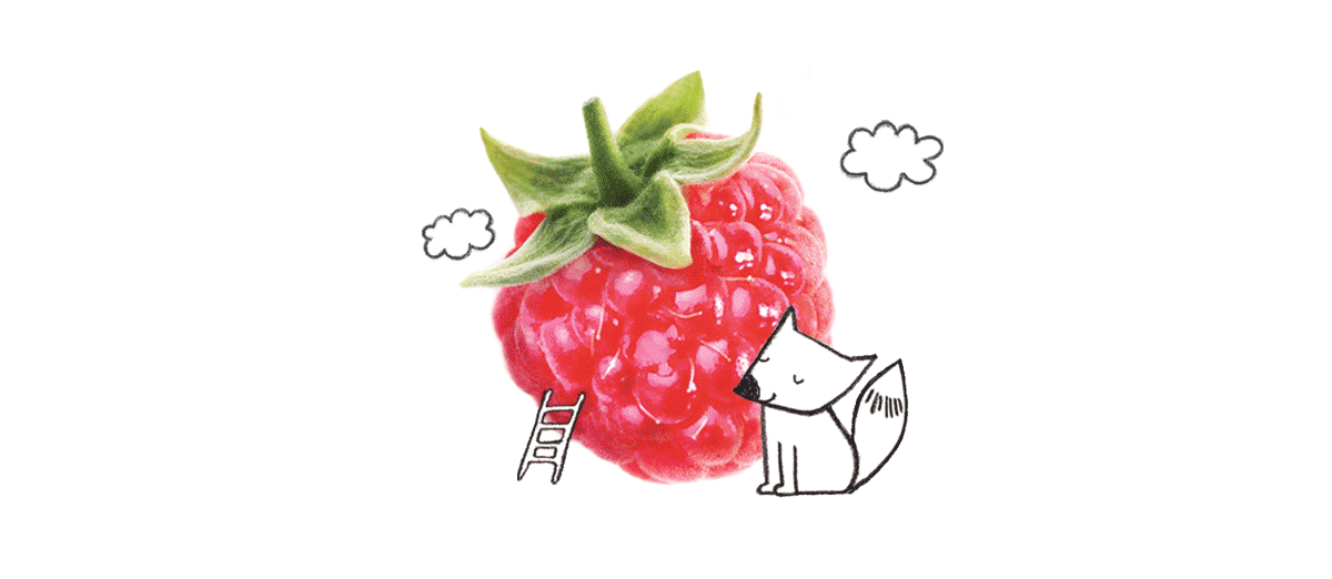 活潑的果醬，漿果包裝設(shè)計